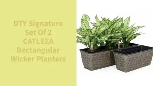 DTY Signature Set of 2 CATLEZA Rectangular Wicker Planters -DTYStore