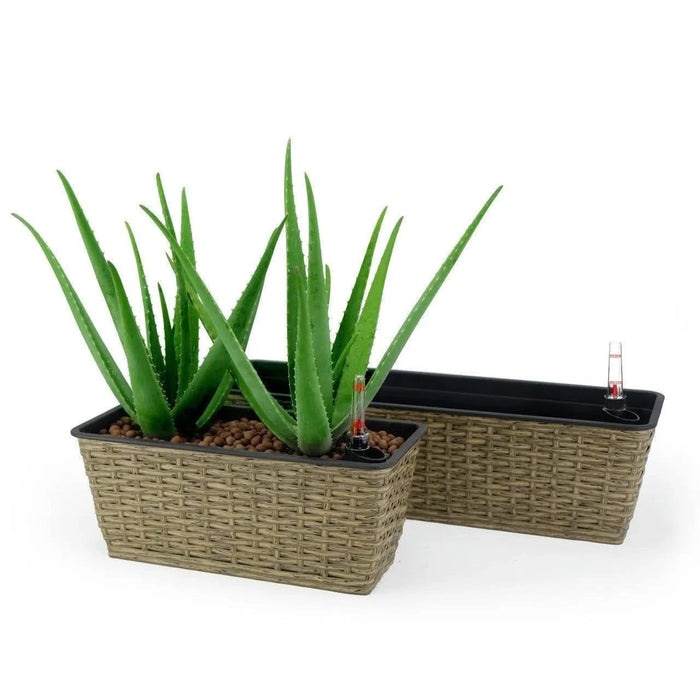 DTY Signature Set of 2 CATLEZA Rectangular Wicker Planters -DTYStore