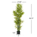 Decorative Artificial Bamboo Plant with Pot for Indoor and Outdoor Home & Office 60 in -DTYStore
