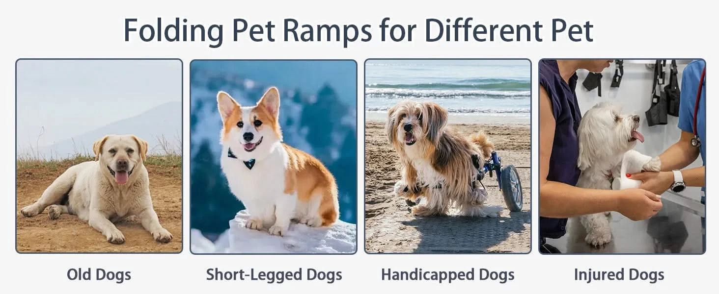 Dog Ramp for Car, 63' Long & 17' Wide Folding Portable Pet Stair Ramp with Non-Slip Rug Surface, Extra Wide Dog Steps for Medium & Large Dogs Up to 250LBS Enter a Car, SUV & Truck Default -DTYStore