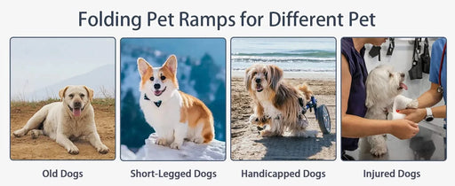 Dog Ramp for Car, 63' Long & 17' Wide Folding Portable Pet Stair Ramp with Non-Slip Rug Surface, Extra Wide Dog Steps for Medium & Large Dogs Up to 250LBS Enter a Car, SUV & Truck Default -DTYStore