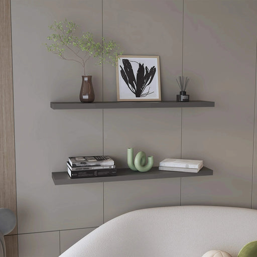 Ecco 47' Wide Floating Shelves Set of 2, Shelves for Wall Decor for Bedroom, Bathroom Storage Shelves, Book Shelves for Living Room Matt Gray Default -DTYStore