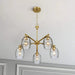 Elegance Five Lights Linear Arms Chandelier with Golden Brass Finish and Clear Water Glass 24'W x 8.5'H Default -DTYStore