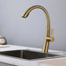 Elegant Single Handle Stainless Steel Pull Out Kitchen Faucet Brushed Gold with High-Arch Spout - DTY Store