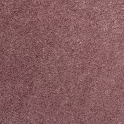 Elegant Upholstered Barrel Accent Chair with Wooden Legs in Blush Velvet Default -DTYStore