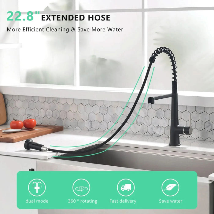 Faucet for Kitchen Sink, Black Kitchen Faucet with Pull Down Sprayer,  Modern Commercial Spring Pull-Out Kitchen Sink Faucet - DTY Store