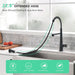 Faucet for Kitchen Sink, Black Kitchen Faucet with Pull Down Sprayer,  Modern Commercial Spring Pull-Out Kitchen Sink Faucet - DTY Store