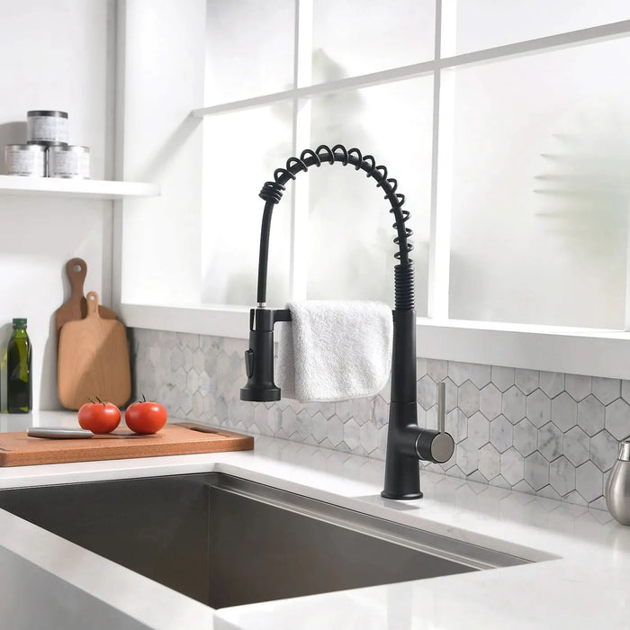Faucet for Kitchen Sink, Black Kitchen Faucet with Pull Down Sprayer,  Modern Commercial Spring Pull-Out Kitchen Sink Faucet Default   DTYStore