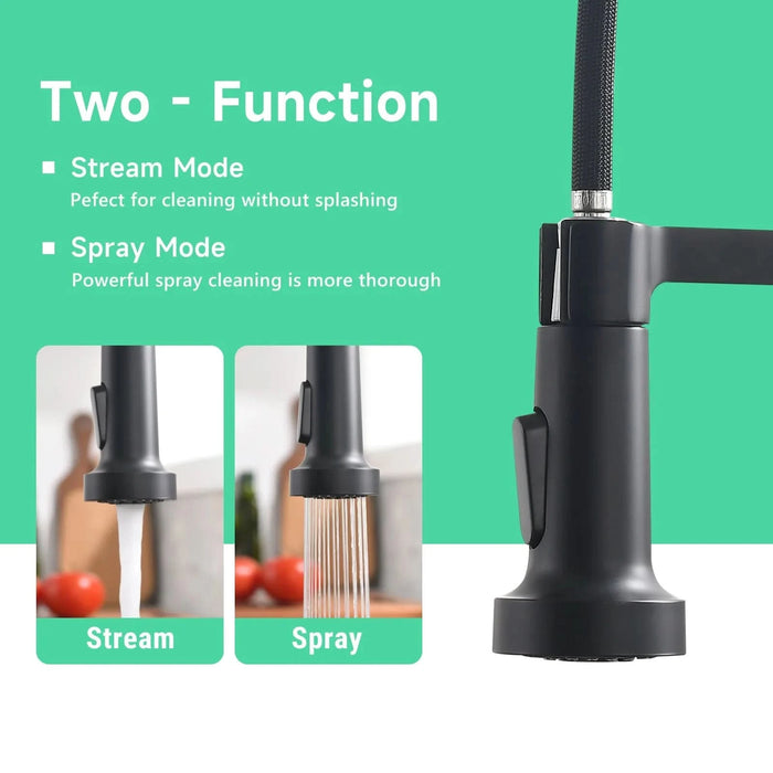 Faucet for Kitchen Sink, Black Kitchen Faucet with Pull Down Sprayer,  Modern Commercial Spring Pull-Out Kitchen Sink Faucet - DTY Store