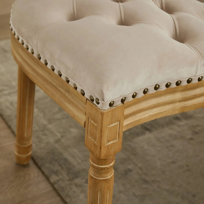 French Style Solid Wood Frame Antique Painting,Hand-pulled buckle decoration Velvet artificial leather Dining Chair with Nailhead Trim ,Wood Legs,Steel Spring inner,Set of 2,Beige,SW1739BG Default -DTYStore