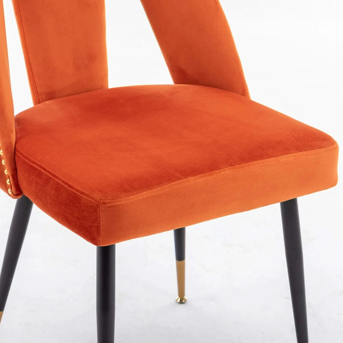 Furniture,Akoya Collection Modern | Contemporary Velvet Upholstered Dining Chair with Nailheads and Gold Tipped Black Metal Legs, Orange，Set of 2 Default -DTYStore