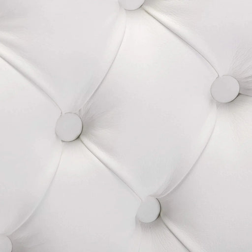 Furniture,Nikki Collection Modern,High-end Tufted Solid Wood Contemporary PU and Velvet Upholstered Dining Chair with Wood Legs Nailhead Trim 2 Pcs Set,White+Black, SW2101WB Default -DTYStore