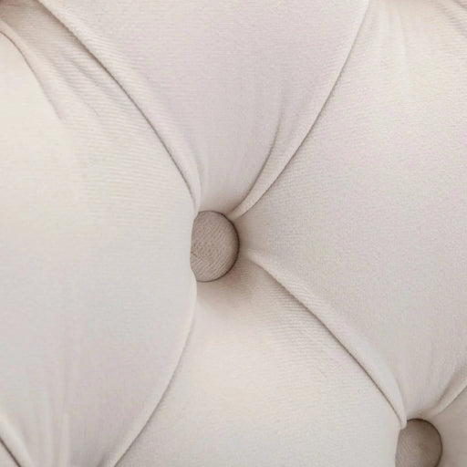 Furniture,Nikki Collection Modern, High-end Tufted Solid Wood Contemporary Velvet Upholstered Dining Chair with Golden Stainless Steel Plating Legs,Nailhead Trim,Set of 2,Beige and Gold, SW1601BG Default -DTYStore