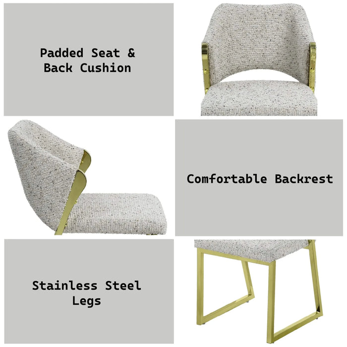 Galdesa Teddy Sherpa & Mirrored Gold Finish Side Chair (Set of 2) Default -DTYStore