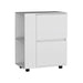 Glasgow Bar Cart Two Pull-Down Door Cabinets and Two Open Shelves Default -DTYStore