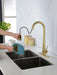 Gold Kitchen Faucets with Pull Down Sprayer, Kitchen Sink Faucet with Pull Out Sprayer, Fingerprint Resistant, Single Hole Deck Mount, Single Handle Copper Kitchen Faucet, - DTY Store