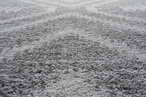 Granada Galen Gray and Ivory Olefin Shag Area Rug Default -DTYStore