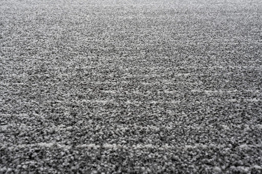 Granada Liora Charcoal, Gray, Ivory and White Polypropylene Area Rug Default -DTYStore