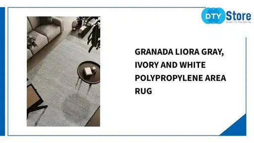 Granada Liora Gray, Ivory and White Polypropylene Area Rug Default -DTYStore