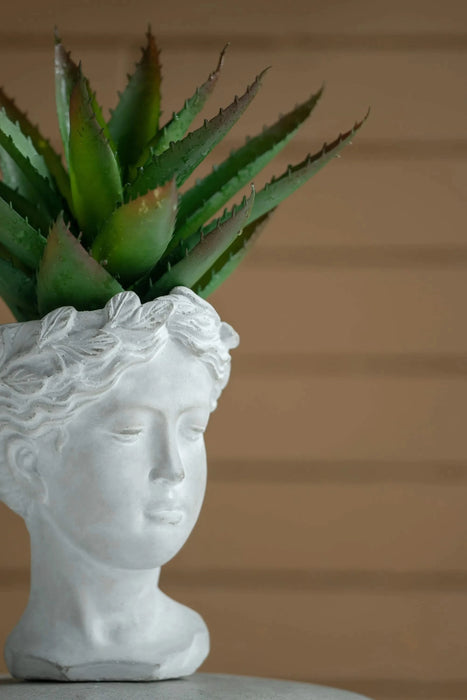 Greek Style Cement Head Planter - Indoor Outdoor Home Garden Decor, D6' x 9' Default -DTYStore