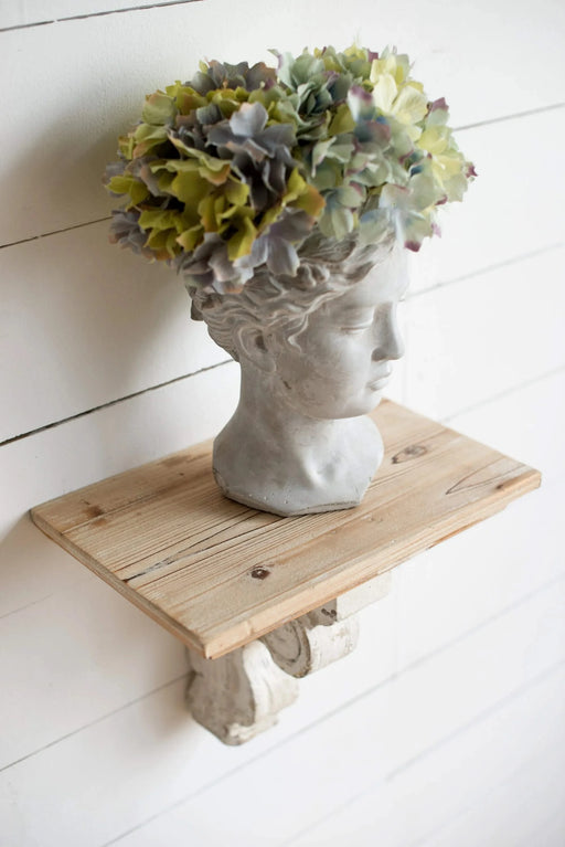 Greek Style Cement Head Planter - Indoor Outdoor Home Garden Decor, D6' x 9' Default -DTYStore