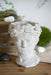 Greek Style Cement Head Planter - Indoor Outdoor Home Garden Decor, D6' x 9' Default -DTYStore