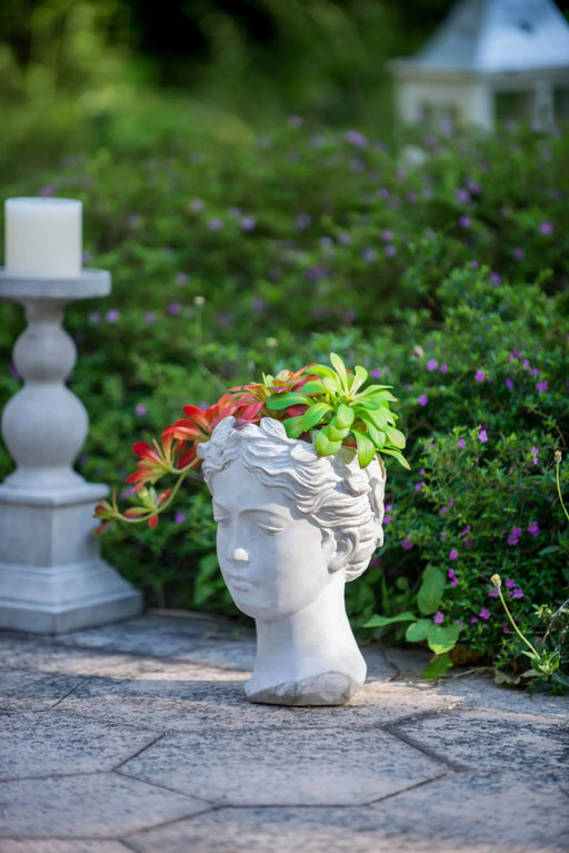 Greek Style Cement Head Planter - Indoor Outdoor Home Garden Decor, D7' x 11' Default -DTYStore