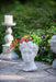 Greek Style Cement Head Planter - Indoor Outdoor Home Garden Decor, D7' x 11' Default -DTYStore