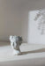Greek Style Cement Head Planter - Indoor Outdoor Home Garden Decor, D7' x 11' Default -DTYStore
