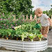 Heavy Duty Galvanized Raised Garden Bed Kit for Vegetables, Flowers & Herbs, Rust-Resistant, Easy Assembly, 8x4x1ft, Silver Default -DTYStore