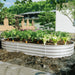 Heavy Duty Galvanized Raised Garden Bed Kit for Vegetables, Flowers & Herbs, Rust-Resistant, Silver, 8x4x1ft Default -DTYStore