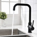 Kitchen Faucet Single Handle 1 Hole Kitchen Sink Faucets - DTY Store