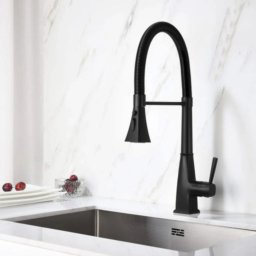 Kitchen Faucet with Pull Down Sprayer Default -DTYStore