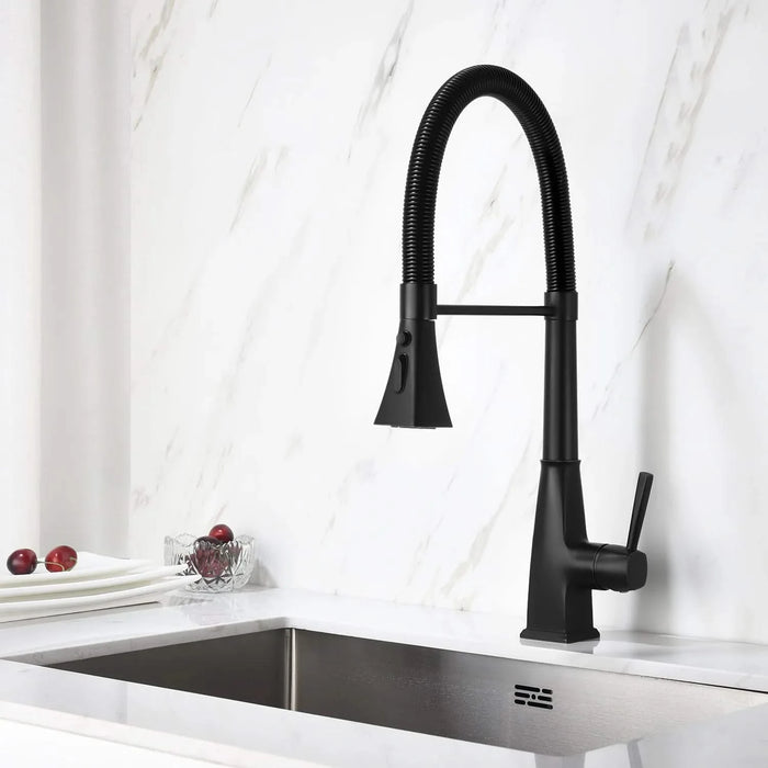Kitchen Faucet with Pull Down Sprayer Default -DTYStore