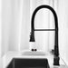 Kitchen Faucet with Pull Down Sprayer Default -DTYStore