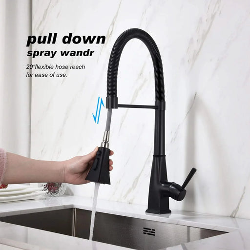 Kitchen Faucet with Pull Down Sprayer Default -DTYStore