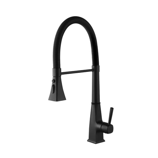Kitchen Faucet with Pull Down Sprayer Default -DTYStore