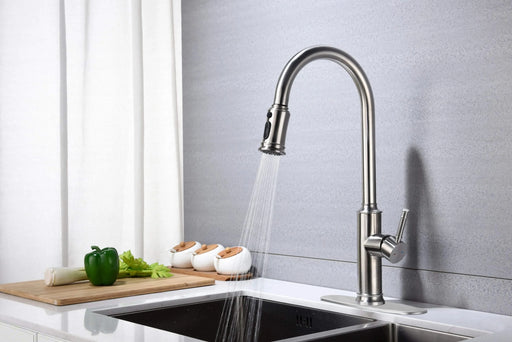 Kitchen Faucet with Pull Out Spraye Default -DTYStore