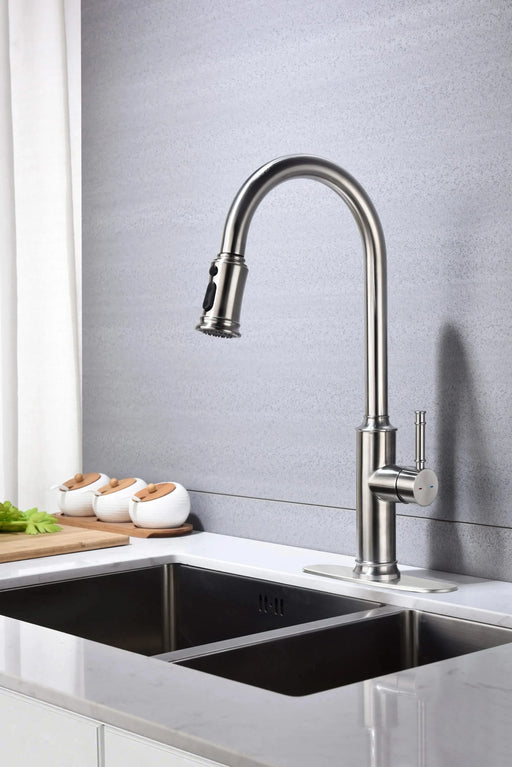 Kitchen Faucet with Pull Out Spraye Default -DTYStore