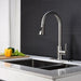 Kitchen Faucet with Pull Out Spraye - DTY Store