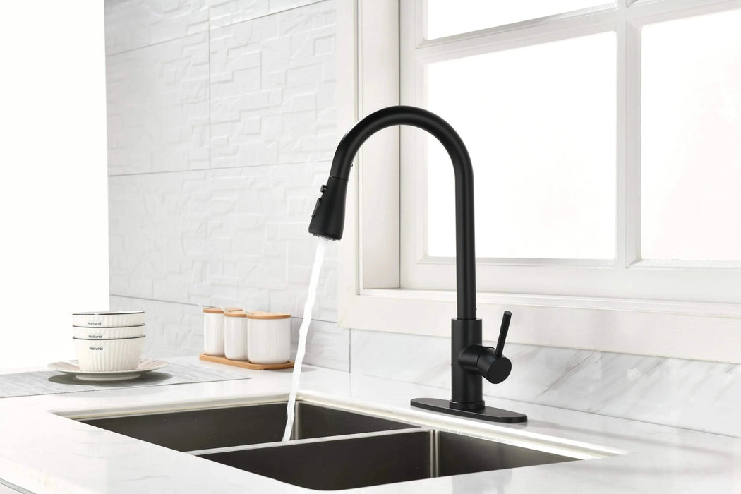 Kitchen Faucet with Pull Out Spraye Default -DTYStore