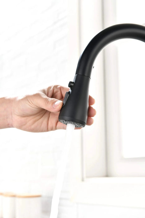 Kitchen Faucet with Pull Out Spraye Default -DTYStore