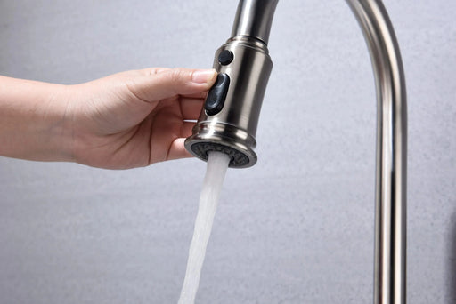 Kitchen Faucet with Pull Out Spraye Default -DTYStore