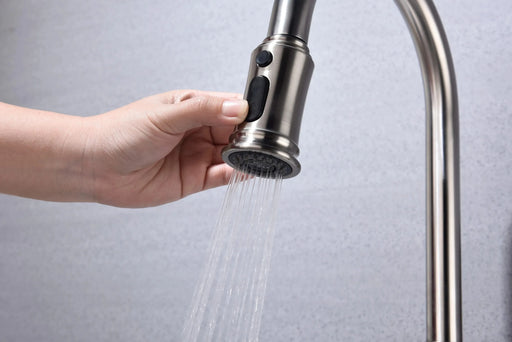 Kitchen Faucet with Pull Out Spraye Default -DTYStore