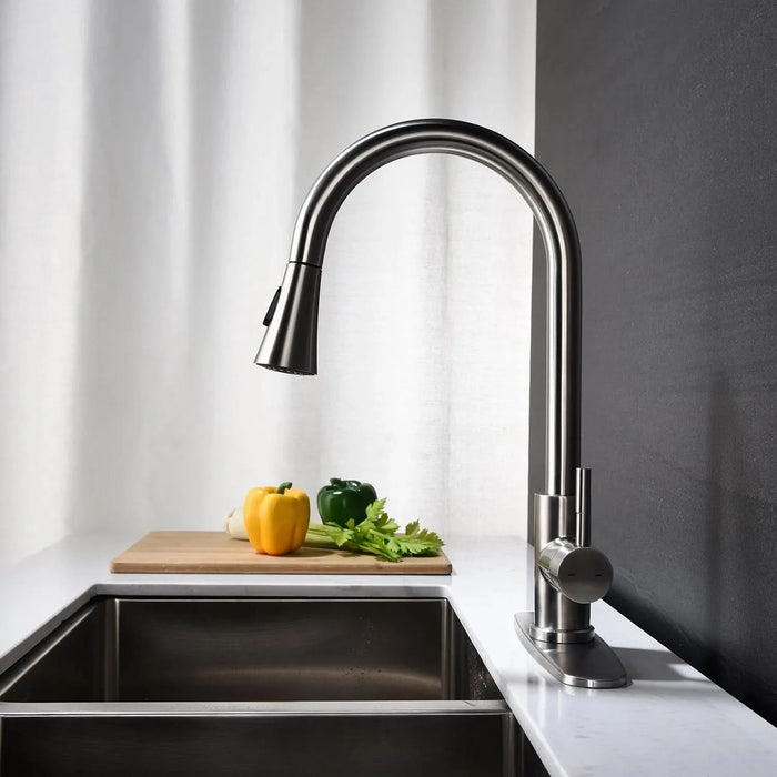 Kitchen Faucet with Pull Out Spraye - DTY Store