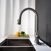 Kitchen Faucet with Pull Out Spraye - DTY Store