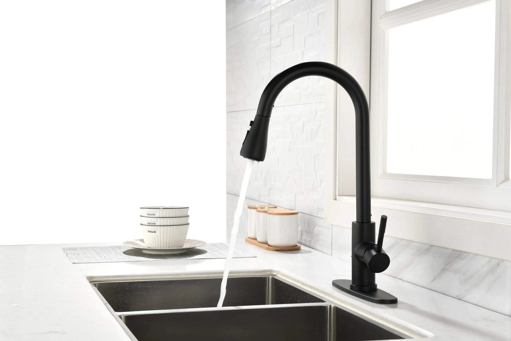 Kitchen Faucet with Pull Out Spraye Default -DTYStore