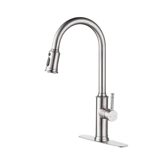 Kitchen Faucet with Pull Out Spraye Default -DTYStore