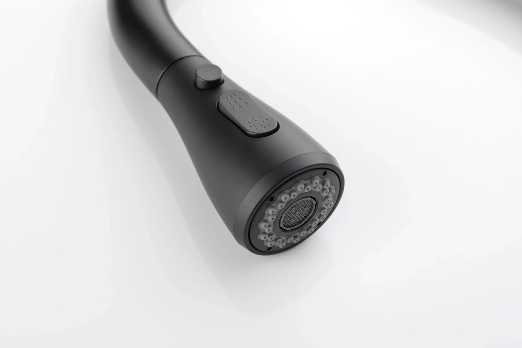 Kitchen Faucet with Pull Out Spraye Default -DTYStore