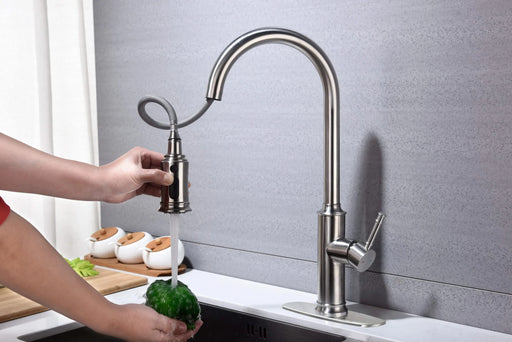 Kitchen Faucet with Pull Out Spraye Default -DTYStore